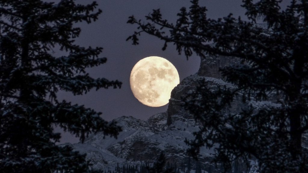 Volle maan november in stier