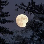 Nieuwe Maan in Schorpioen op 4 november