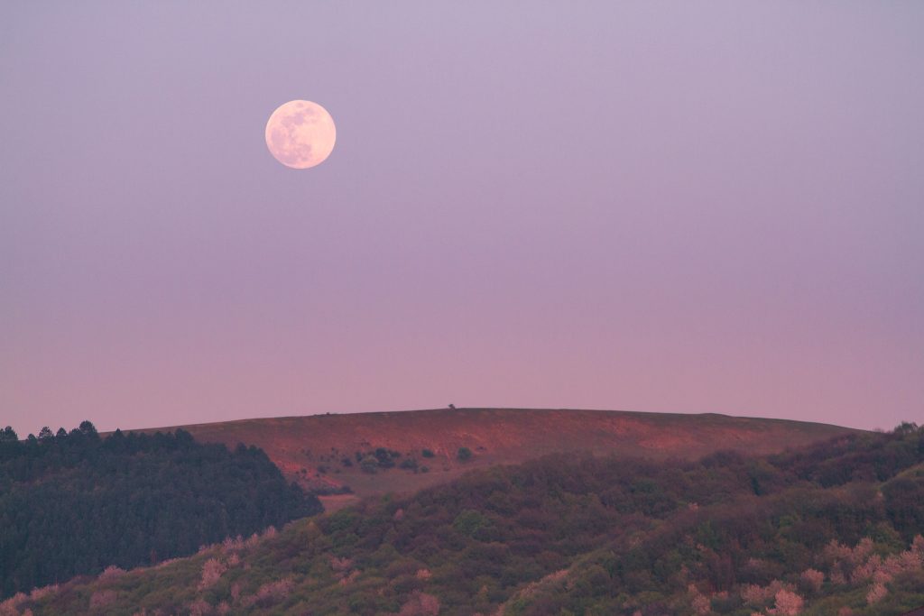 Volle Maan Januari 2023 staat in Kreeft: tijd om te verzachten