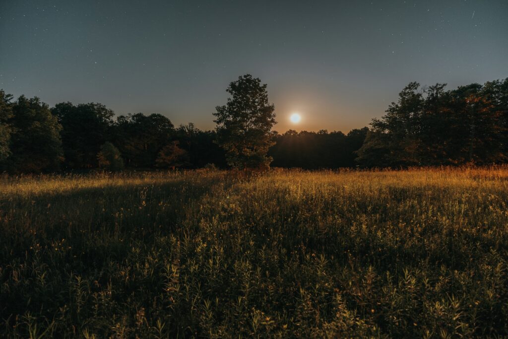 Volle maan juni 2023 staat in boogschutter: ontdek hier de betekenis én rituelen!