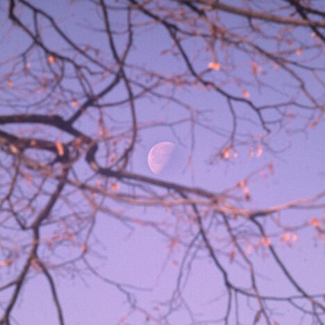 Waarom een yoga bolster onmisbaar is voor diepe ontspanning