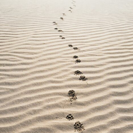 Facebook & Instagram Ads voor Retreats in 2026: wat werkt nog wél?